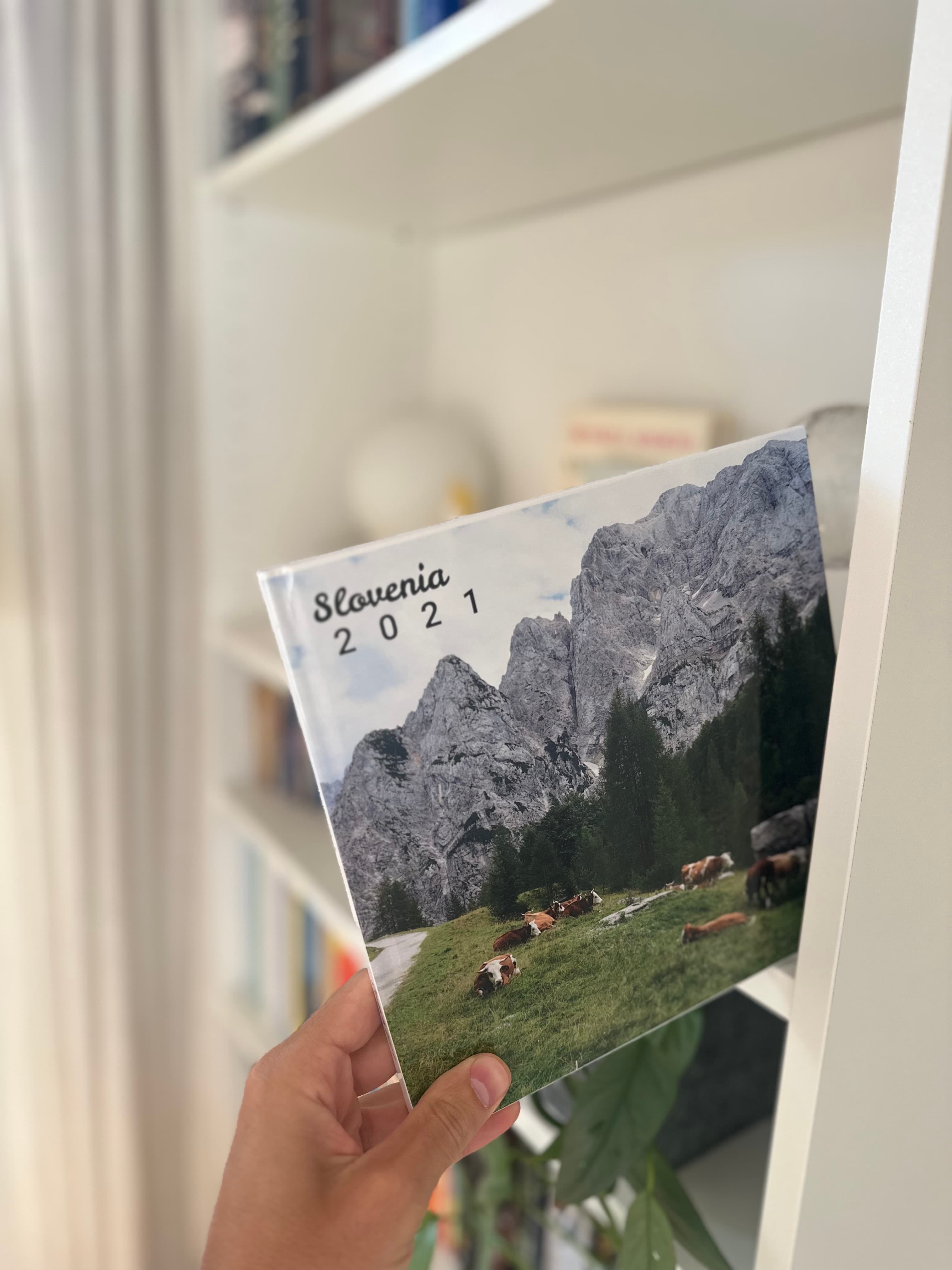 A finished photobook standing on a shelf between plants and books