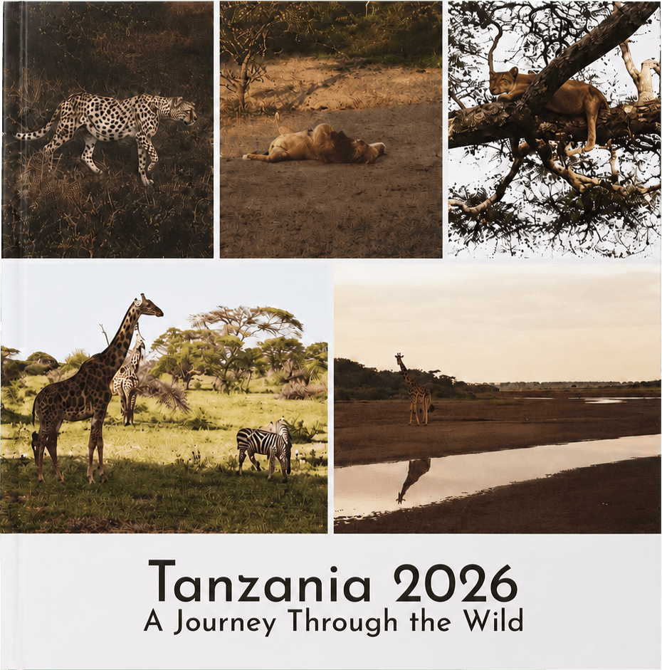 A softcover photobook cover with a full-bleed safari photo collage